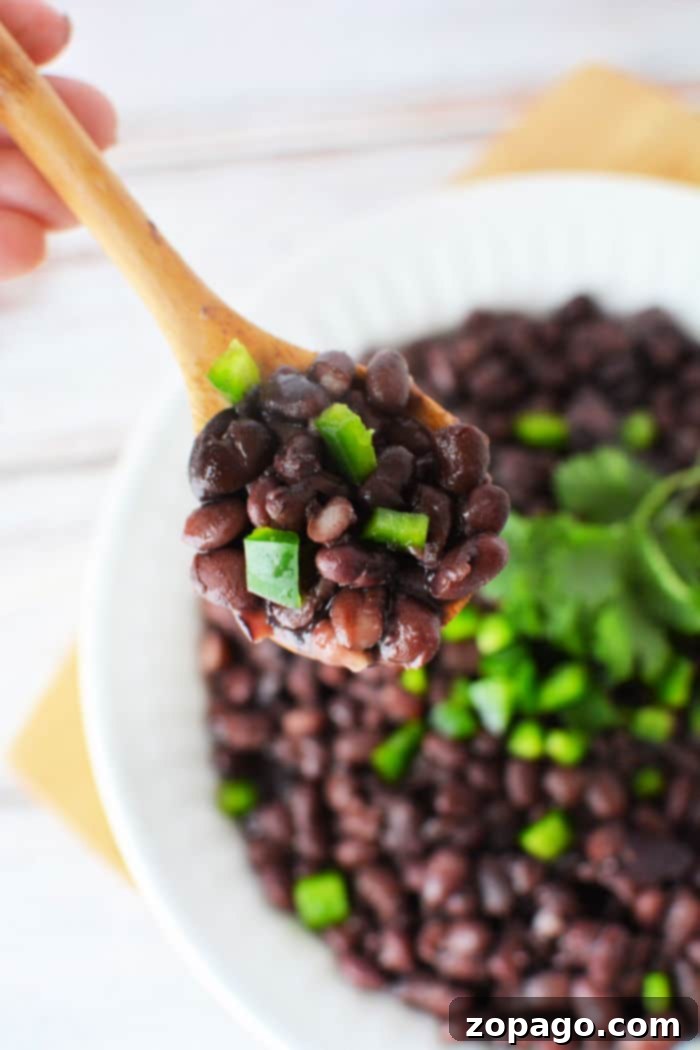 Perfect Bean Cooking Times 5 How Long Do Black Beans Take to Cook