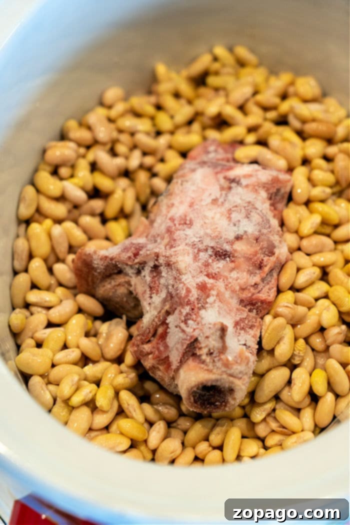 Perfect Bean Cooking Times 6 Mayocoba Beans in Slow Cooker