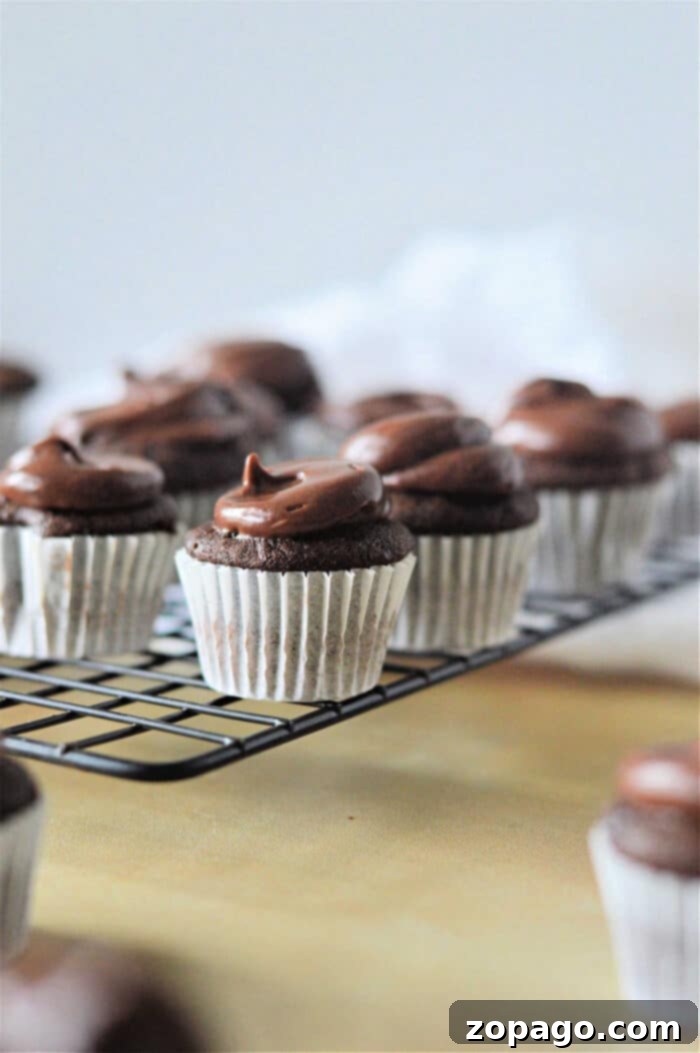 Perfect Mini Cupcake Bake Times 5 An array of delicious mini chocolate cupcakes, some frosted, showcasing the perfect batch.