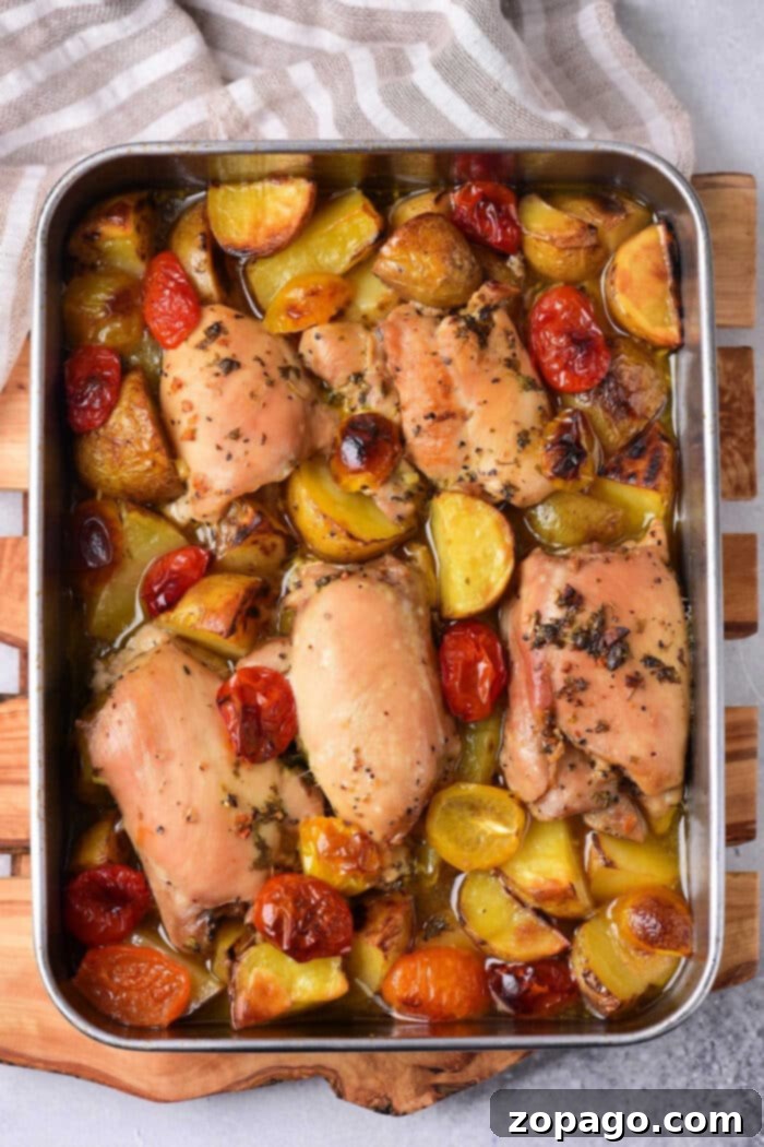 Perfectly Roasted Chicken Thighs: 375°F Cook Time 2 Crispy baked chicken thighs fresh from the oven, served with roasted potatoes and cherry tomatoes.