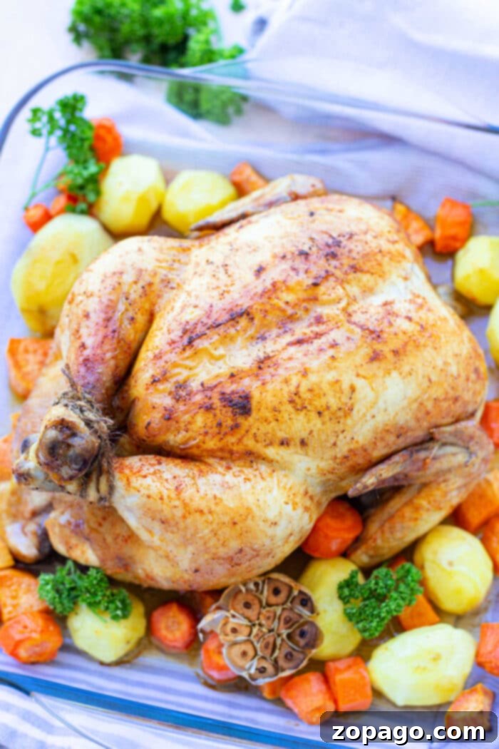 Ultimate Whole Chicken Brine 5 A beautifully roasted whole chicken, perfectly brined for juicy tenderness, is nestled in a baking dish. It is generously surrounded by perfectly roasted potatoes, sweet carrots, and a head of garlic, all infused with rich flavors. Fresh parsley delicately garnishes the dish, while a light-colored linen cloth peeks out from beneath the elegant baking vessel, enhancing the rustic charm of the presentation.