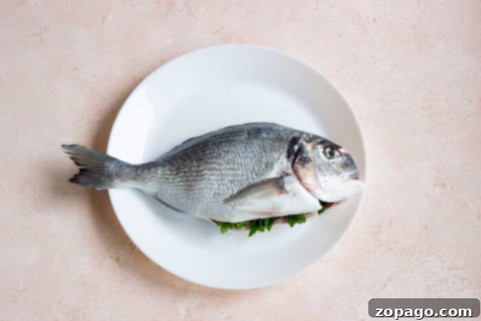 Perfectly Crispy Whole Fish 5 A selection of the best whole fish varieties to fry in batter, emphasizing their firm texture suitable for a crispy coating.