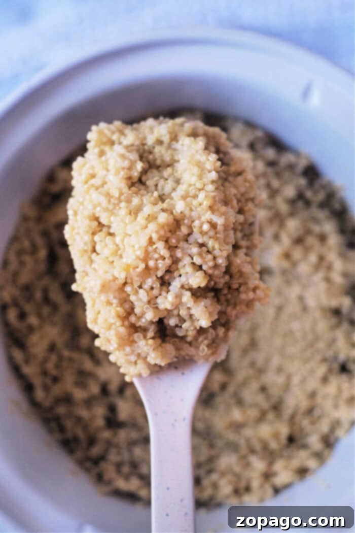 How Long to Cook Quinoa for Perfect Results 2 How Long to Cook Quinoa: A close-up of perfectly cooked white quinoa, fluffy and ready to serve.