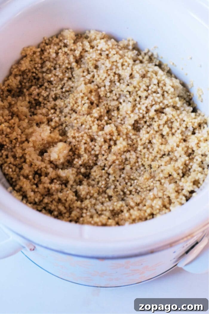 How Long to Cook Quinoa for Perfect Results 3 How to Cook Quinoa in Slow Cooker: A bowl of raw quinoa with a slow cooker in the background, illustrating the preparation for slow cooking.