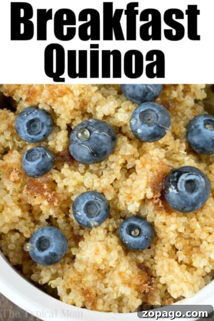 How Long to Cook Quinoa for Perfect Results 6 How to Make Quinoa Taste Good: A bowl of flavorful quinoa with fresh herbs and spices, ready to be enjoyed.