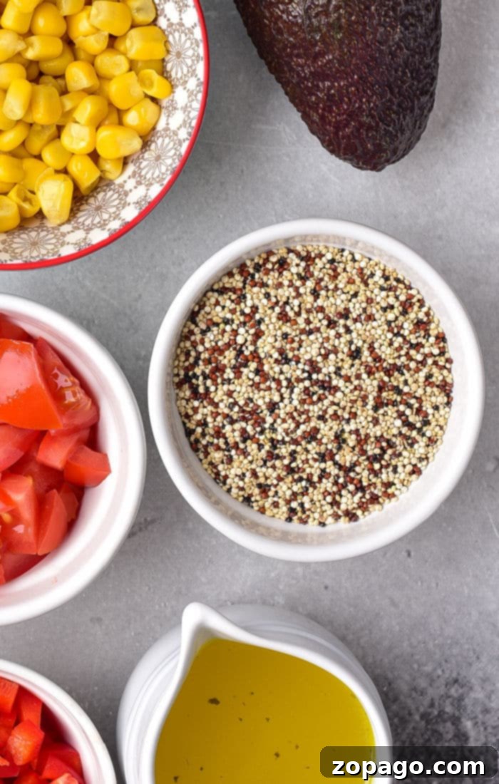 Close-up of fluffy Tri Colored Quinoa grains
