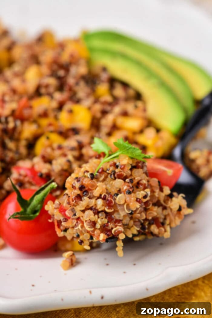 How to Cook Tri Color Quinoa, garnished and ready