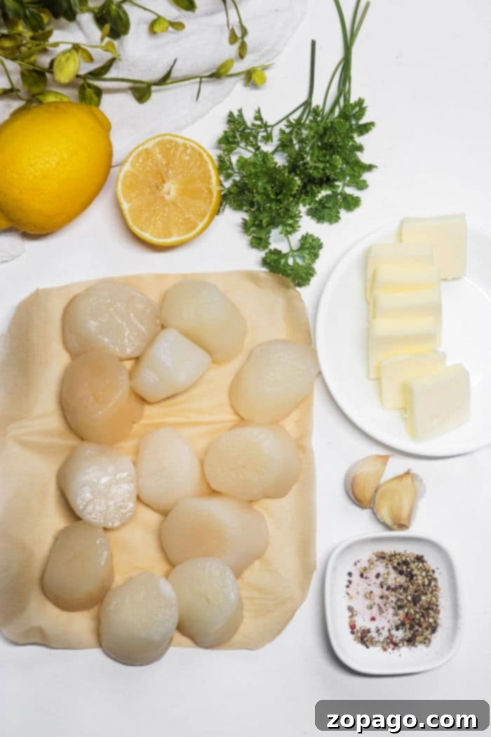 Perfectly Smoked Scallops 3 how to cook scallops on smoker