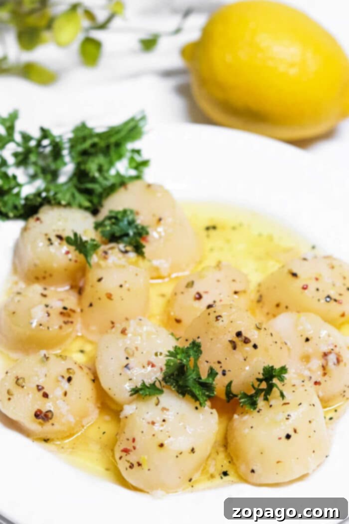 Perfectly Smoked Scallops 6 Smoked Bay Scallops Recipe