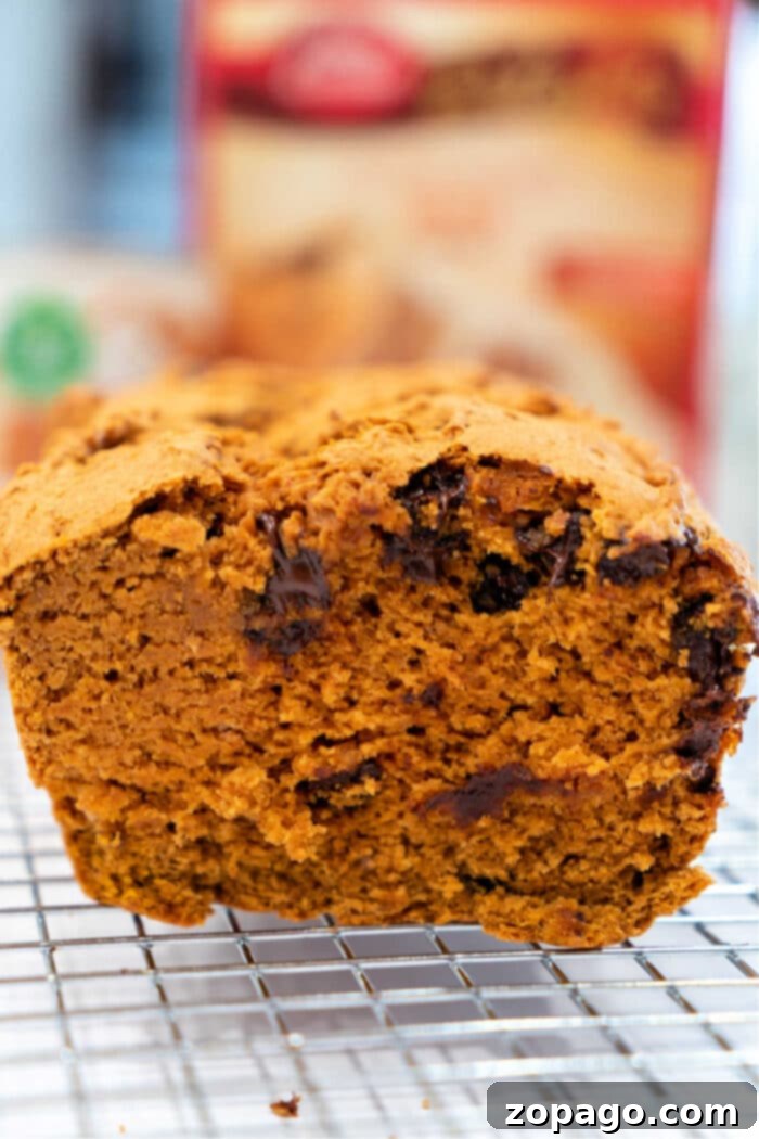 Spice Cake Mix Pumpkin Bread 6 A beautiful loaf of Cake Mix Pumpkin Bread cooling on a rack, garnished with a sprinkle of powdered sugar.