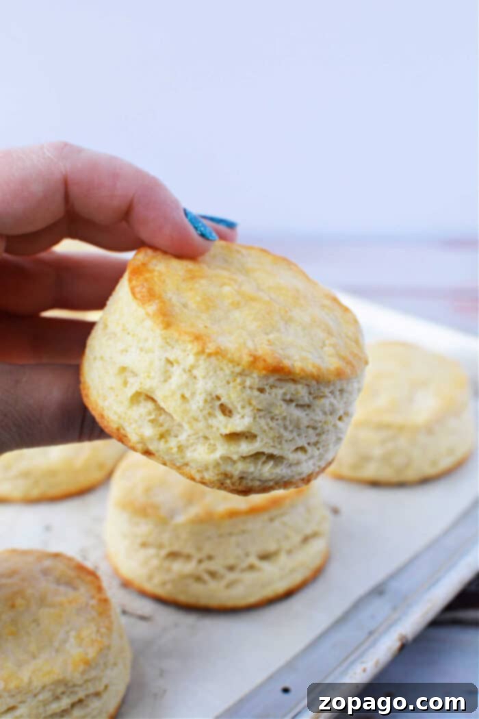 The Secret to Irresistible Homemade Biscuits 2 How to Make Biscuits From Scratch, showing a tray of golden, baked biscuits.