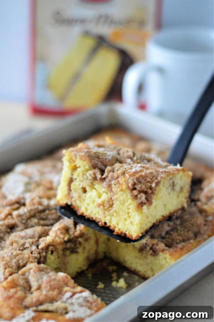 Easy Coffee Cake from Yellow Cake Mix 5 Coffee Cake with Cake Mix, ready to be served on a white plate.
