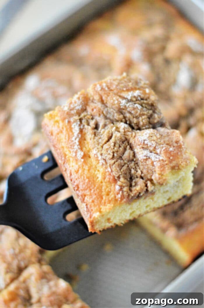 Easy Coffee Cake from Yellow Cake Mix 6 Coffee Cake with Yellow Cake Mix, perfectly baked and ready for slicing.