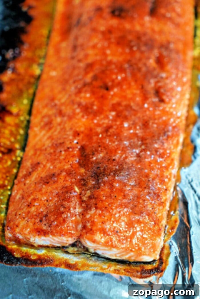 The Best Coho Salmon Recipe 2 Coho Salmon Recipe with Dry Rub, showcasing a beautifully cooked fillet with a golden-brown crust.