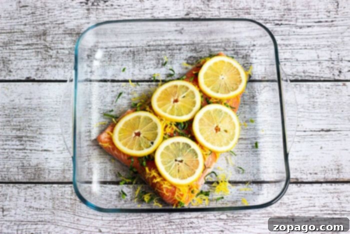 The Best Coho Salmon Recipe 4 Guide on How to Cook Coho Salmon perfectly, showing a seasoned fillet ready for cooking.