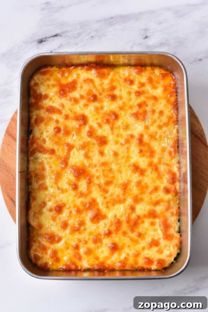 Spicy Creamy Buffalo Chicken Dip 2 Baked Buffalo Chicken Dip - a warm, bubbly, and irresistibly cheesy appetizer made with tender rotisserie chicken, perfect for any gathering. Served in a large baking dish.
