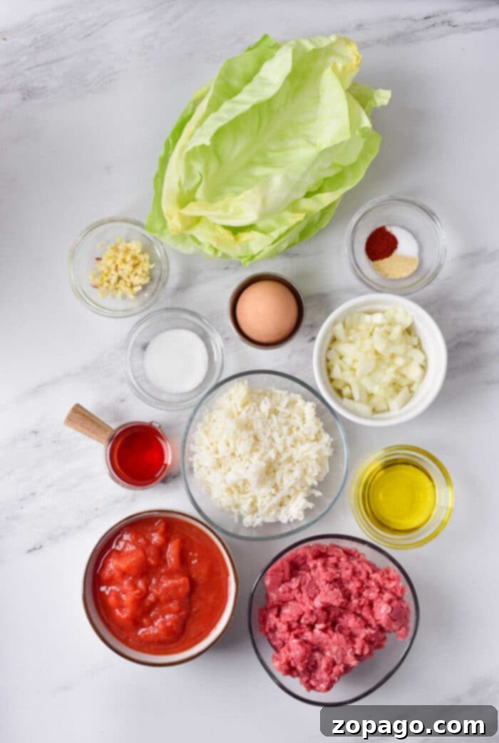 Savory Sausage & Cabbage Rolls 3 Cabbage Pigs in Blanket - Prepared for Baking