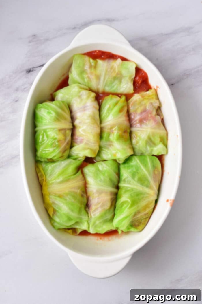 Savory Sausage & Cabbage Bundles 5 Oven-baked cabbage rolls nestled in a casserole dish, topped with rich tomato sauce and ready to be served.