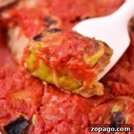 Pigs in the Blanket with Cabbage, these stuffed cabbage rolls are smothered in rich tomato sauce, presented beautifully in a white dish. One roll is elegantly lifted on a spoon, tempting your taste buds with its savory aroma.