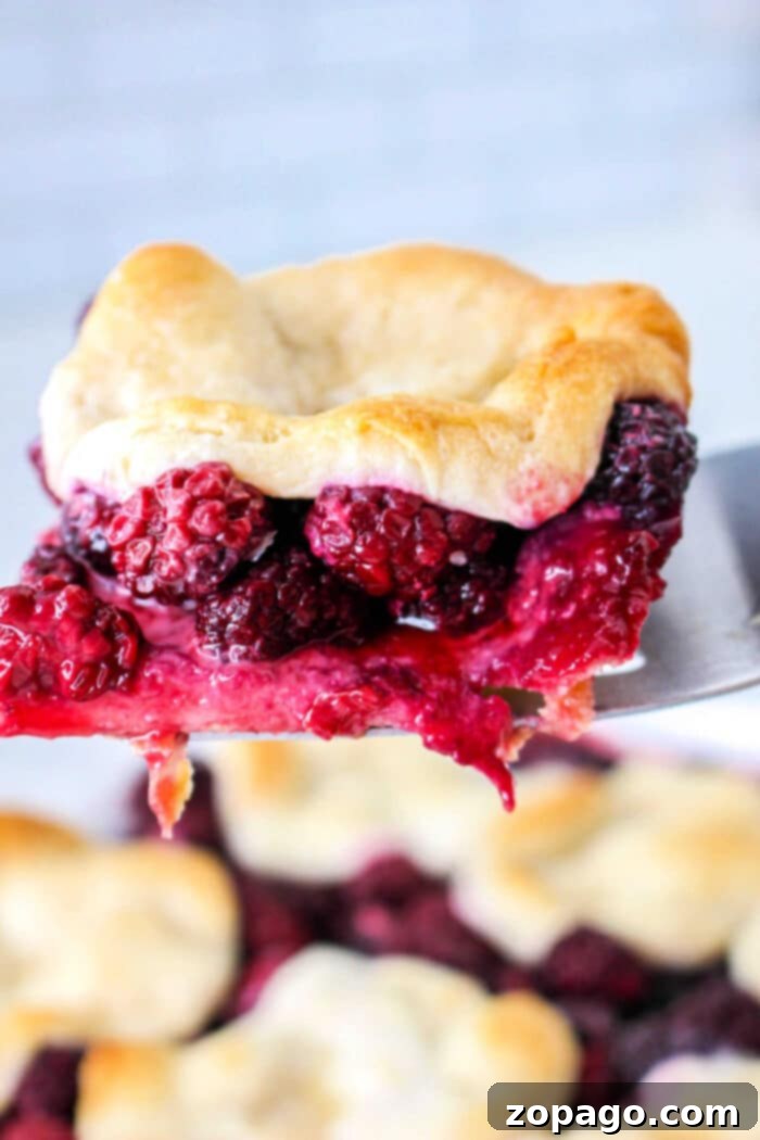 Delicious Cobbler with Golden Biscuits on Top