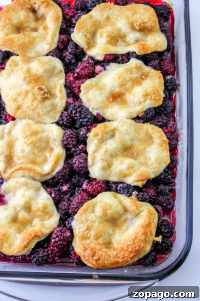 Biscuit Topped Cobbler