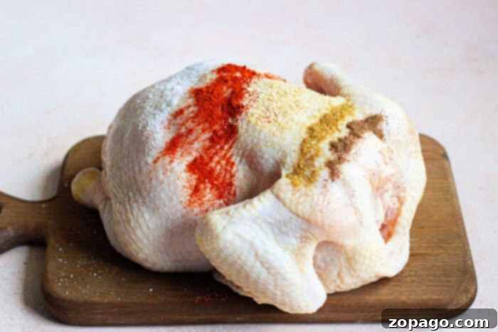 Air Fryer Whole Chicken From Frozen 5 A glistening, seasoned whole frozen chicken ready to be placed in a Ninja Foodi air fryer.