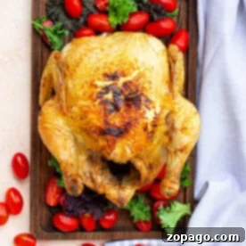 Frozen Whole Chicken Air Fryer