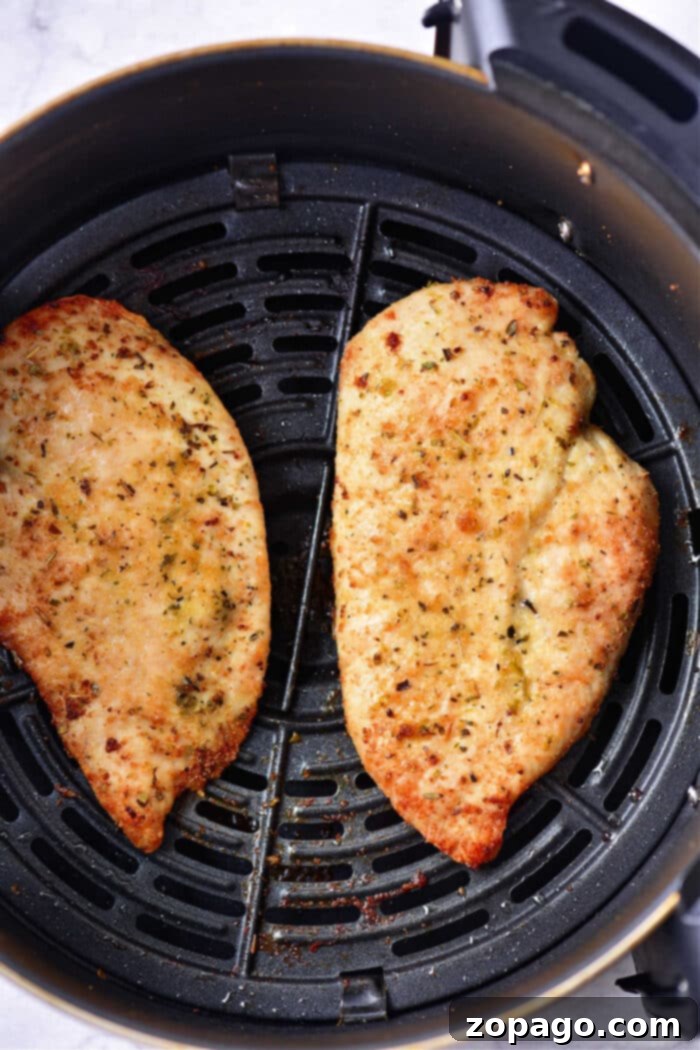 Mastering Thin Chicken in Your Air Fryer 5 Air Fryer Thin Chicken Breast no Breading - A Healthy Meal