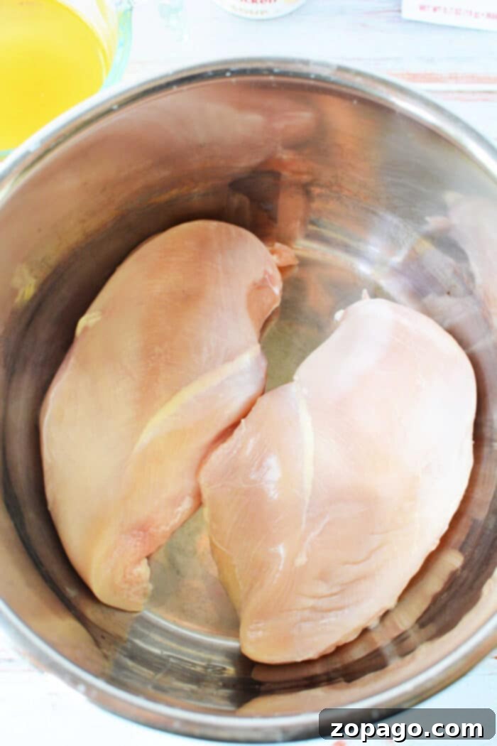 Quick and Creamy Instant Pot Chicken 4 Ninja Foodi creamy chicken breast, ready to be shredded into a rich sauce.