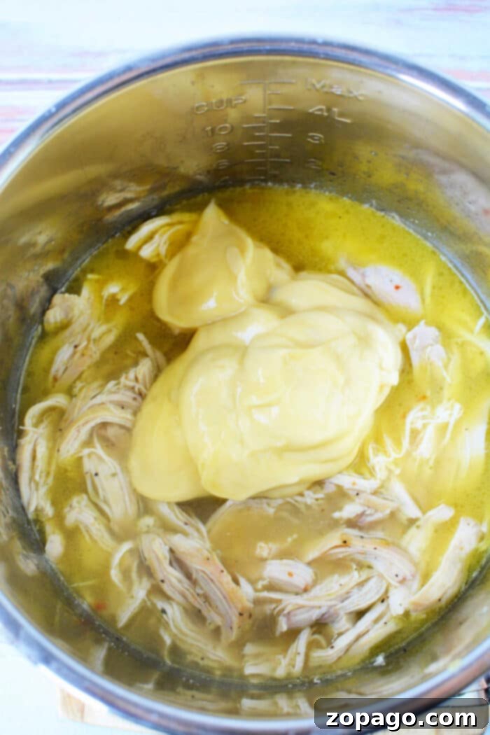 Easy Instant Pot Creamy Chicken 6 Instant Pot Creamy Chicken in a bowl garnished with fresh herbs.