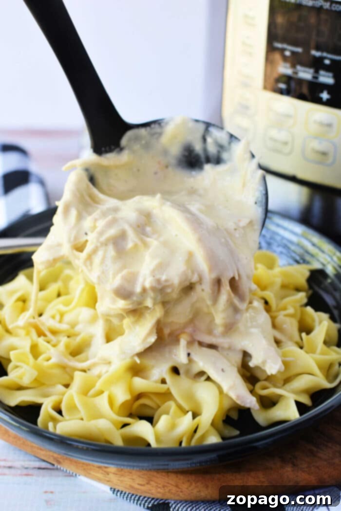 Quick and Creamy Instant Pot Chicken 7 Pressure Cooker Creamy Chicken with a rich sauce and garnish.