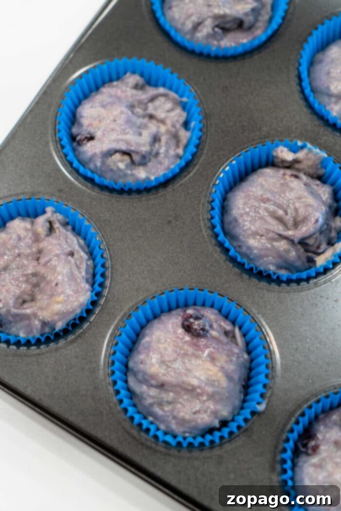 Blueberry Muffins 3 Ingredient Cake Mix 4 Close-up of three dairy-free blueberry muffins in white paper liners on a light surface.
