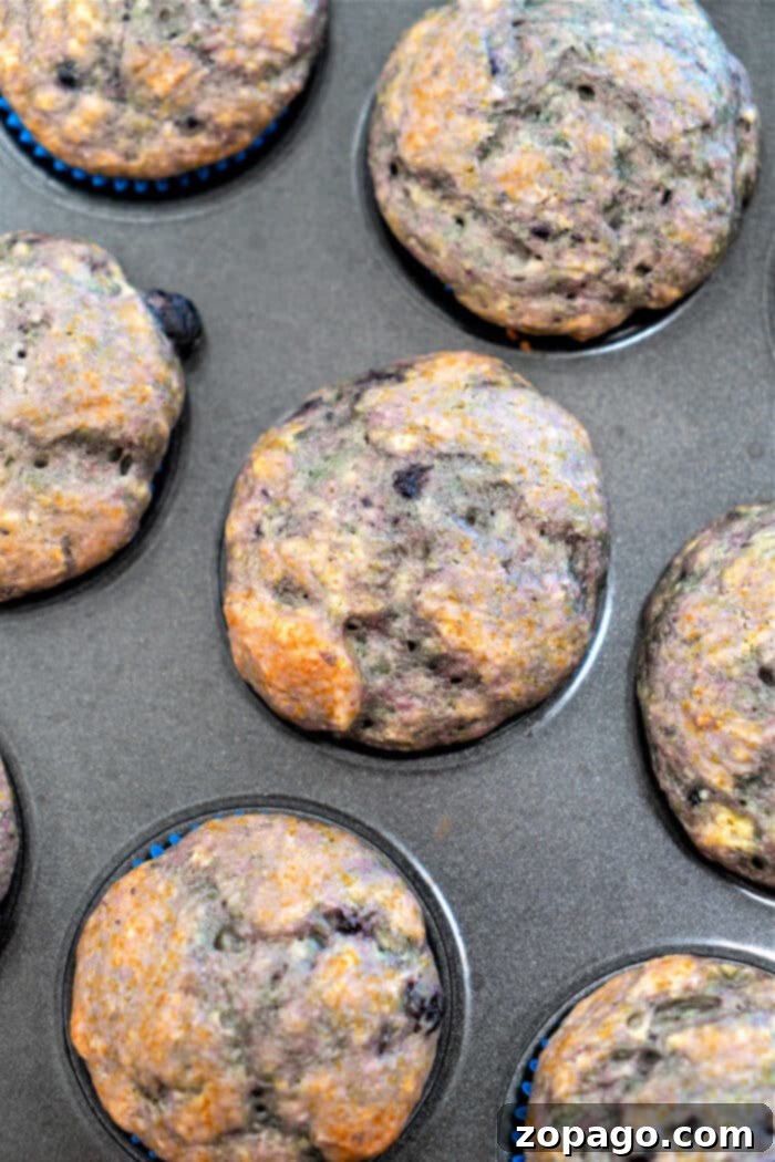 Blueberry Muffins 3 Ingredient Cake Mix 5 Pie Filling Muffins, showing their fluffy texture and delicious crust.