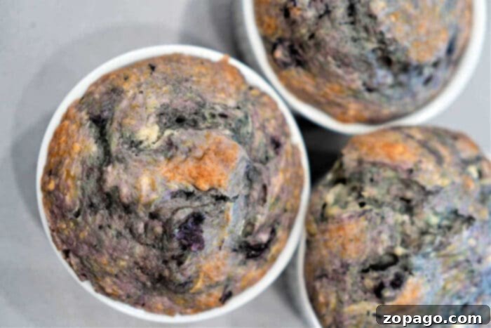 Simple Cake Mix Blueberry Muffins 7 A close-up image of three golden-brown Cake Mix Blueberry Muffins with visible blueberries in white paper muffin cups.