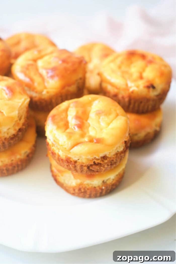 Easy Recipes with Canned Blueberry Pie Filling 4 Various desserts featuring blueberry pie filling, including mini cheesecakes and tarts