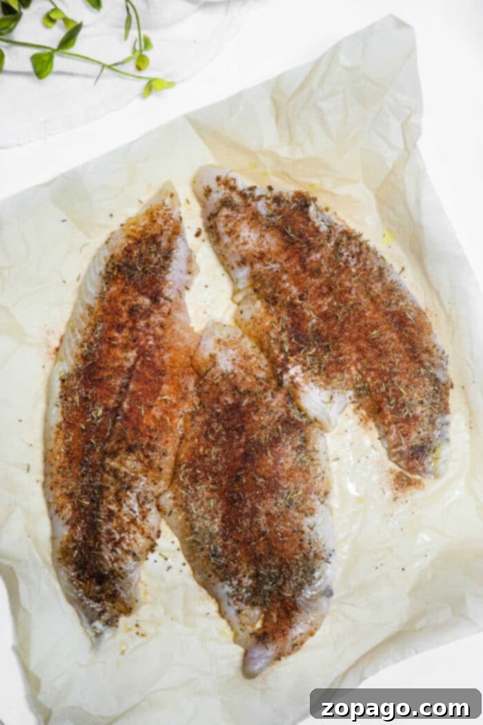 Traeger Wood-Fired Catfish 3 Catfish Fillets Being Prepared for Smoking on a Pellet Grill