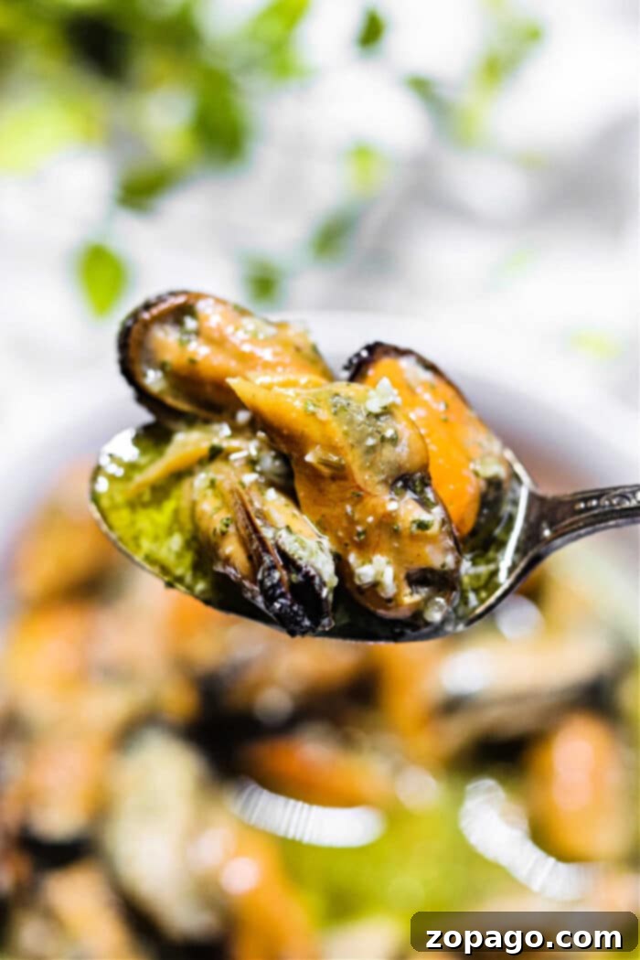 From Freezer to Fantastic Mussels 2 Traeger Mussels - perfectly cooked frozen mussels with garlic and herbs.