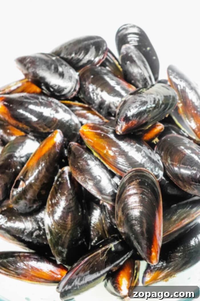 Cooking Frozen Mussels A Simple Guide 3 How to Open Mussels After Cooking