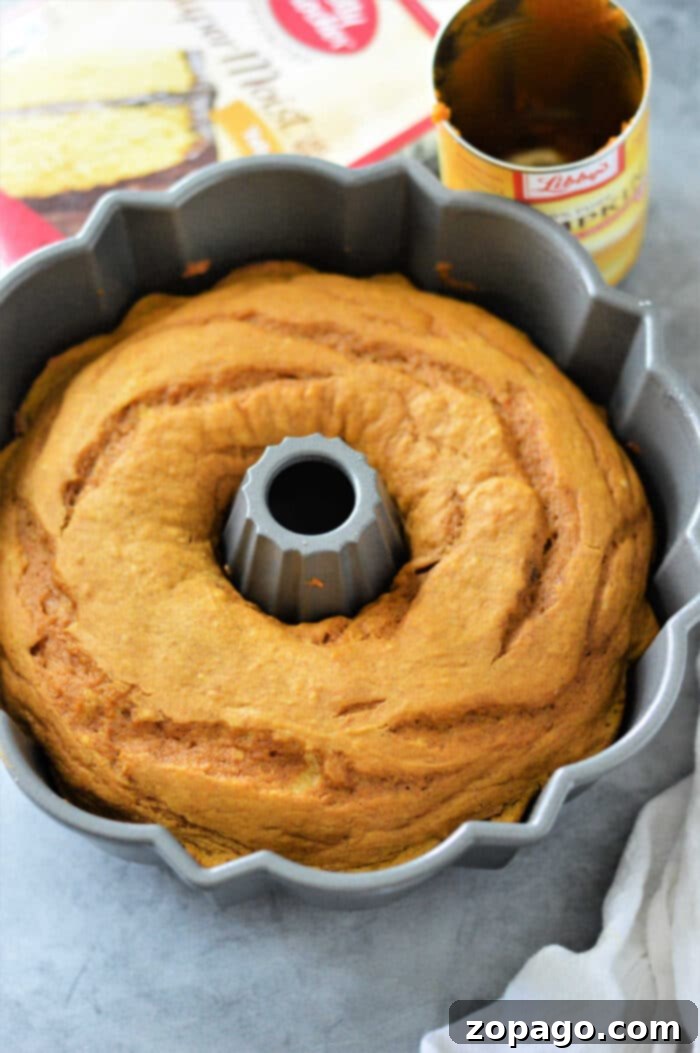 Foolproof Pumpkin Bundt Cake 4 Pumpkin Spice Bundt Cake