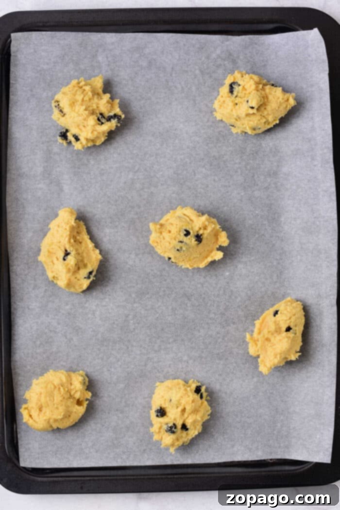 Bright Lemon Blueberry Cookies 5 A collection of delectable Blueberry Cookies, showcasing their vibrant color and inviting texture.