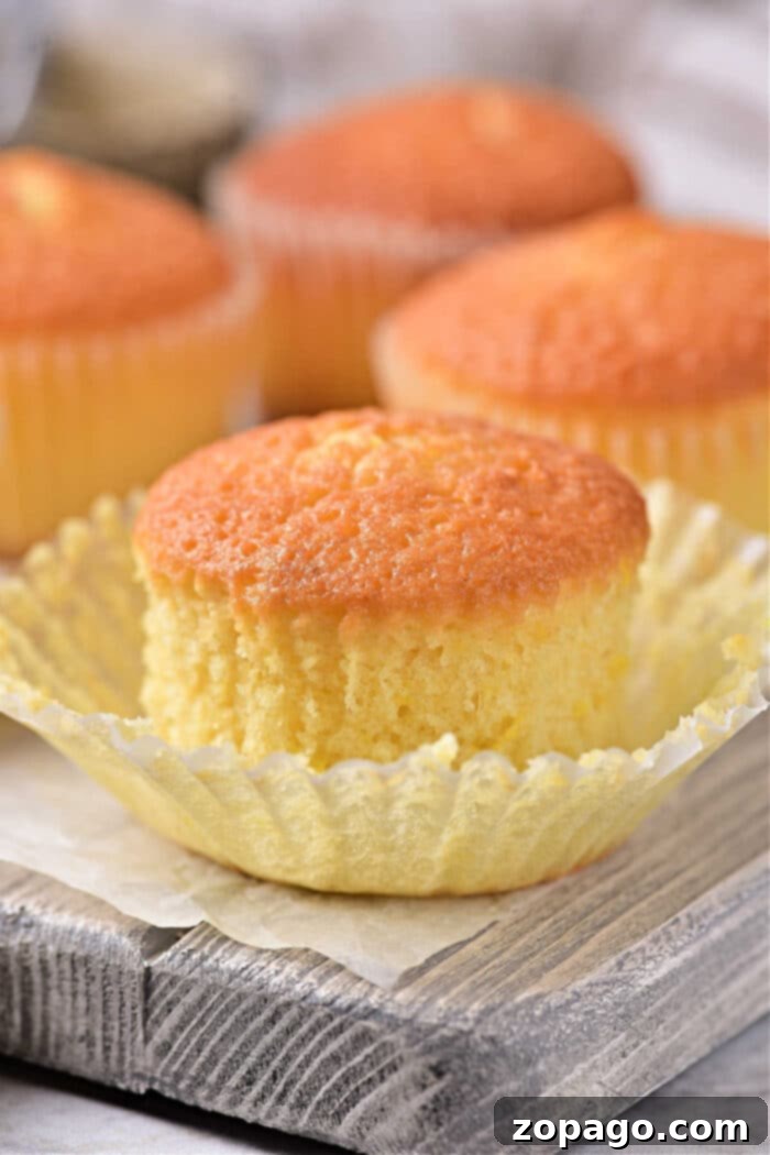 Zesty Lemon Muffins 2 Homemade Lemon Muffins with Curd, Fluffy and Golden