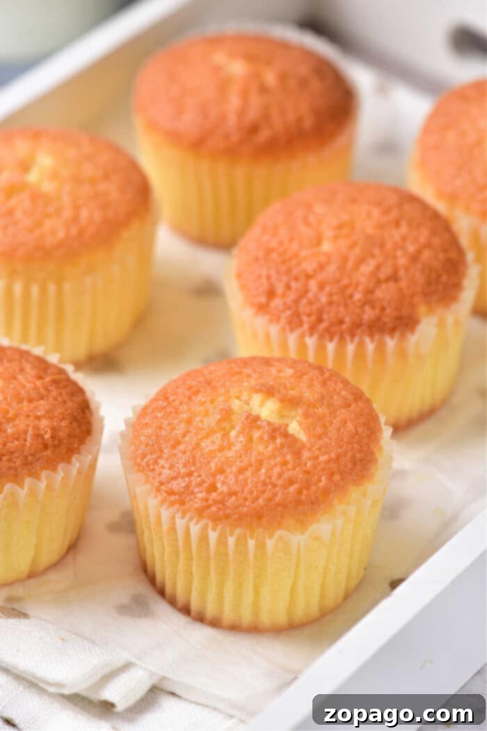 Zesty Lemon Muffins 7 Perfectly Baked Lemon Curd Muffins