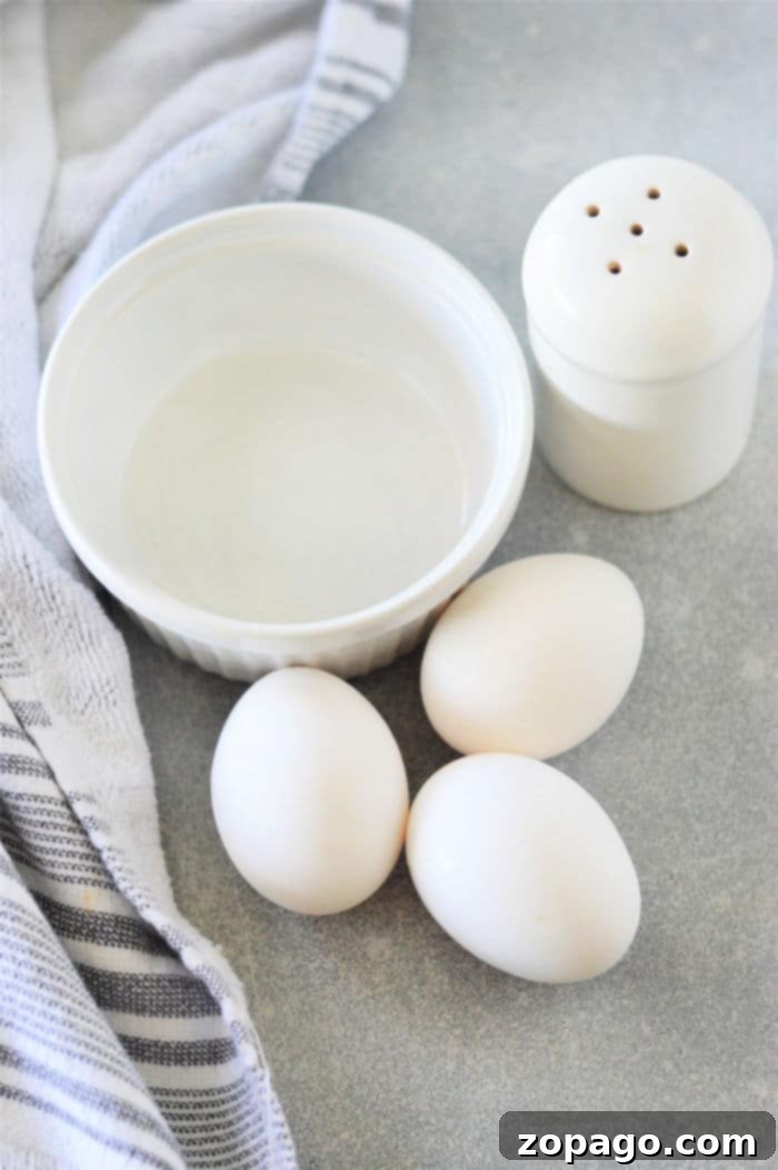 Protein Egg Wraps 3 A single perfectly cooked white egg white tortilla resting on a surface, highlighting its thin and even texture.