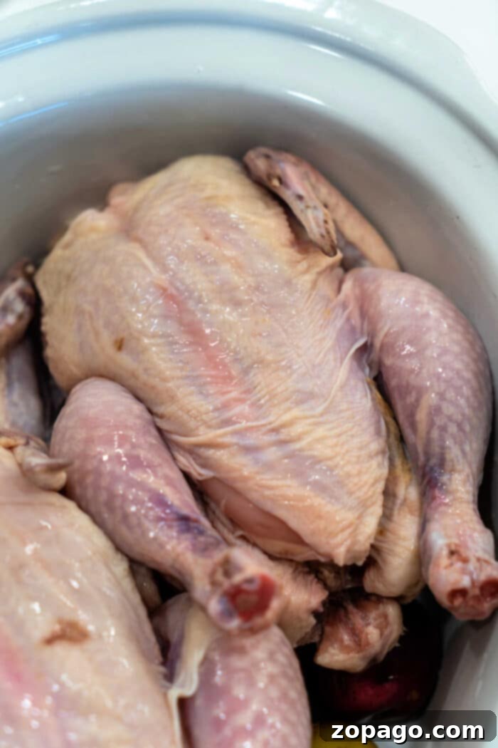 Cornish Hens Slow Cooker Recipe 2 Two perfectly cooked, golden-brown Cornish hens with roasted potatoes in a slow cooker, showcasing a delicious Crockpot meal.