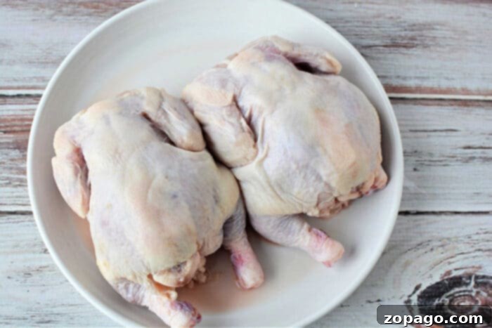 Effortless Slow Cooker Cornish Hens 3 cornish hens recipe