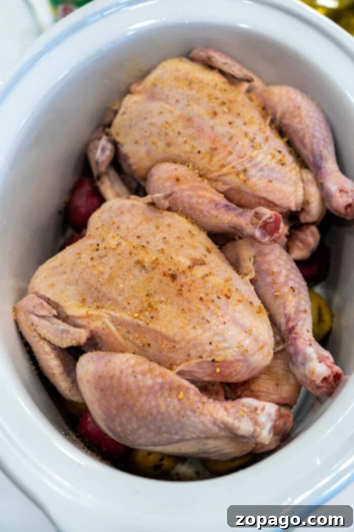 Cornish Hens Slow Cooker Recipe 4 Two golden-brown roasted Cornish hens, fresh from a slow cooker and crisped, served in an air fryer basket, garnished with fresh herbs.