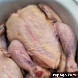 A pair of raw Cornish hens rests in a white crockpot, primed for slow cooker perfection.