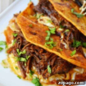 Three birria quesadillas brimming with juicy meat and fresh herbs, perfectly arranged on a white plate with a flavorful dipping sauce on the side.