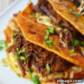 Three birria quesadillas brimming with juicy meat and fresh herbs, perfectly arranged on a white plate with a flavorful dipping sauce on the side.