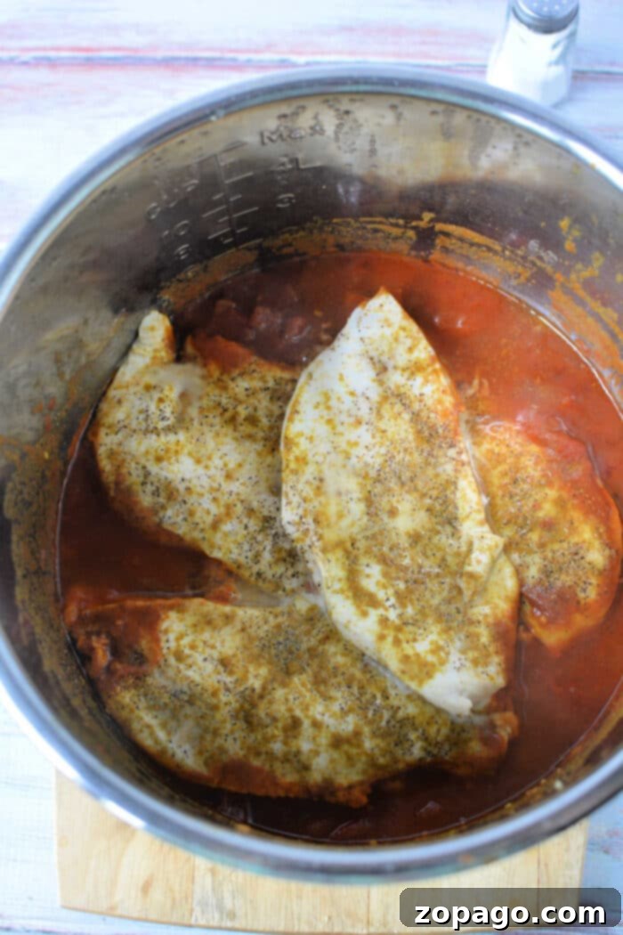 Mouthwatering Instant Pot Chicken Curry 6 Instant Pot Chicken Curry in the pressure cooker, ready to serve.